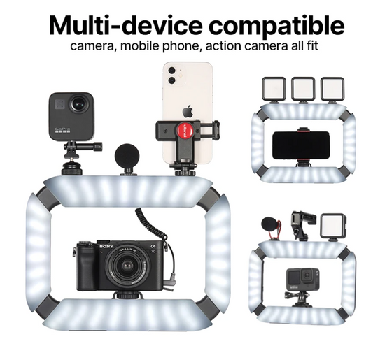 Smartphone Video Rig LED Video Light 2 in 1 Ring Light Cold Shoe for Microphone Tiktok Youtube Live Rig Light