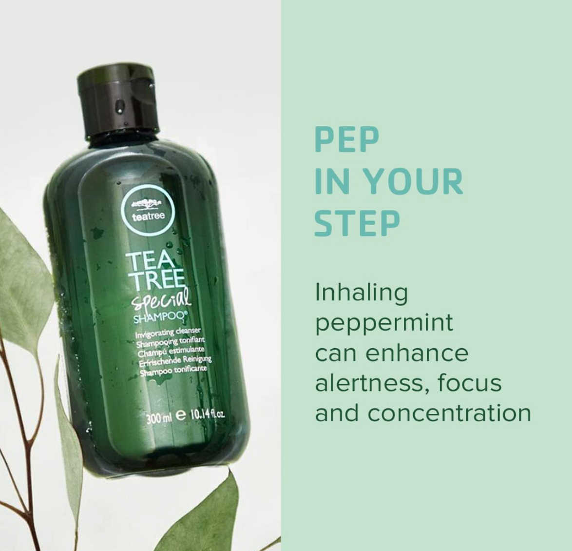 Shampoo speciale all'albero del tè, pulisce in profondità, rinfresca il cuoio capelluto, per tutti i tipi di capelli, in particolare quelli grassi, 33,8 oz.