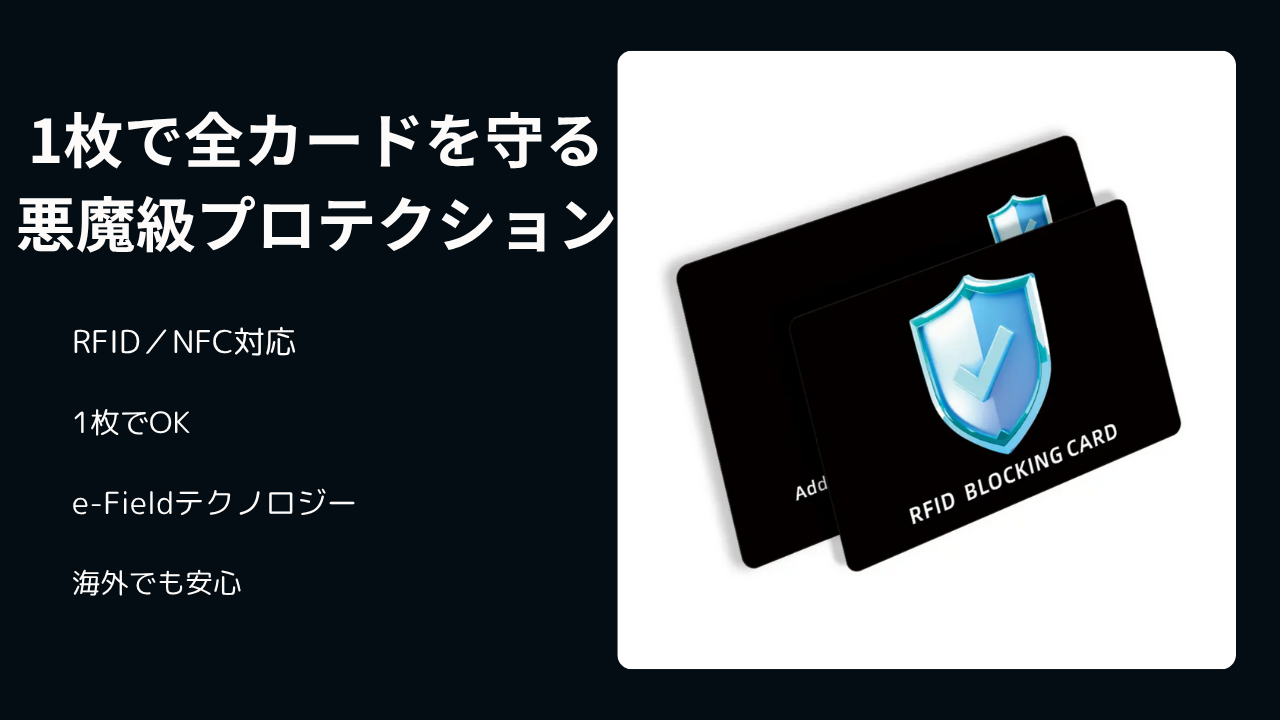 RAIDBLOCK 【1枚で全カード防御】悪魔級スキミング防止カード