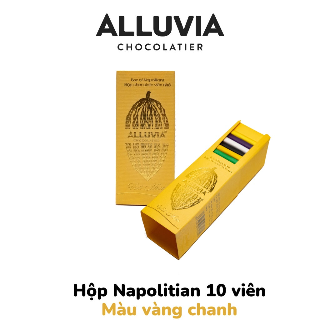 Napolitian box of 10 pieces of pure dark chocolate and milk chocolate Alluvia Chocolate | You can choose any flavor