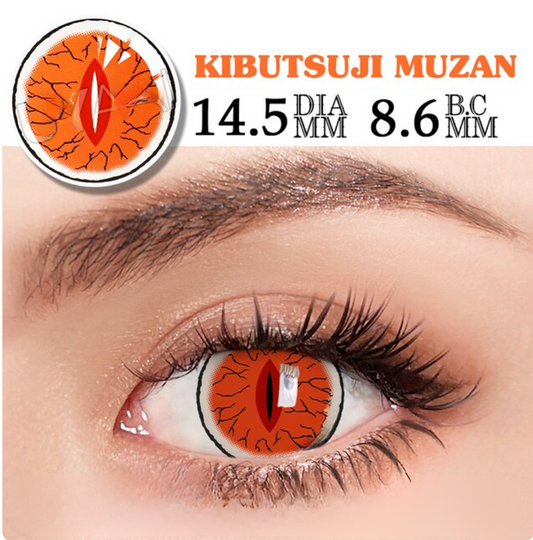 YOUPLUS 1年仕様カラコン 両目ワンペア Kibutsuji Muzan