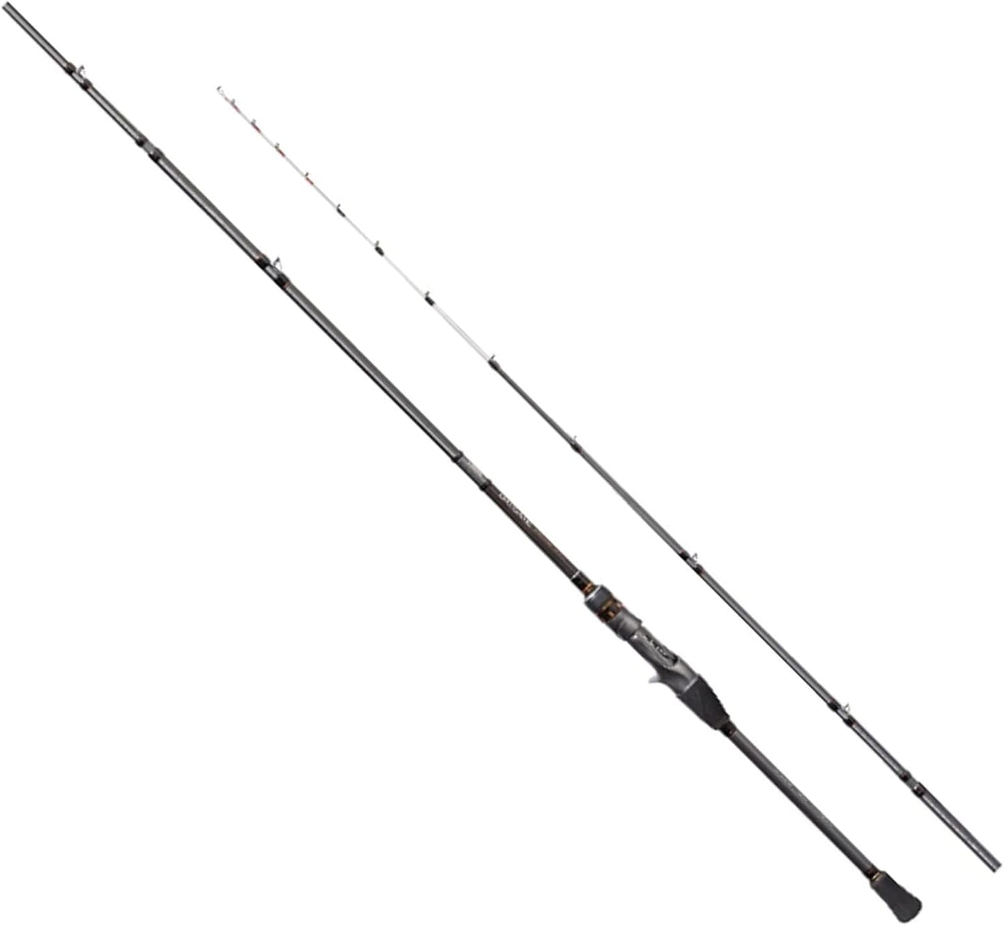 22 bay game filefish