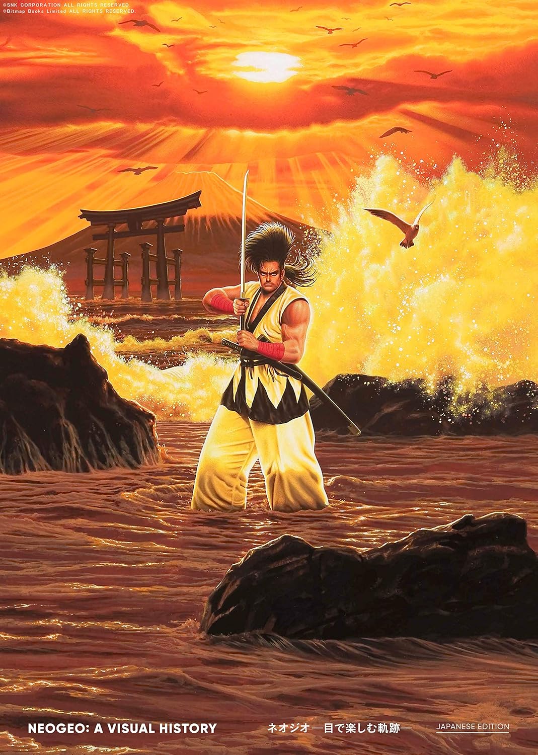 NEOGEO: A VISUAL HISTORY ネオジオ~目で楽しむ軌跡~ JAPANESE EDITION