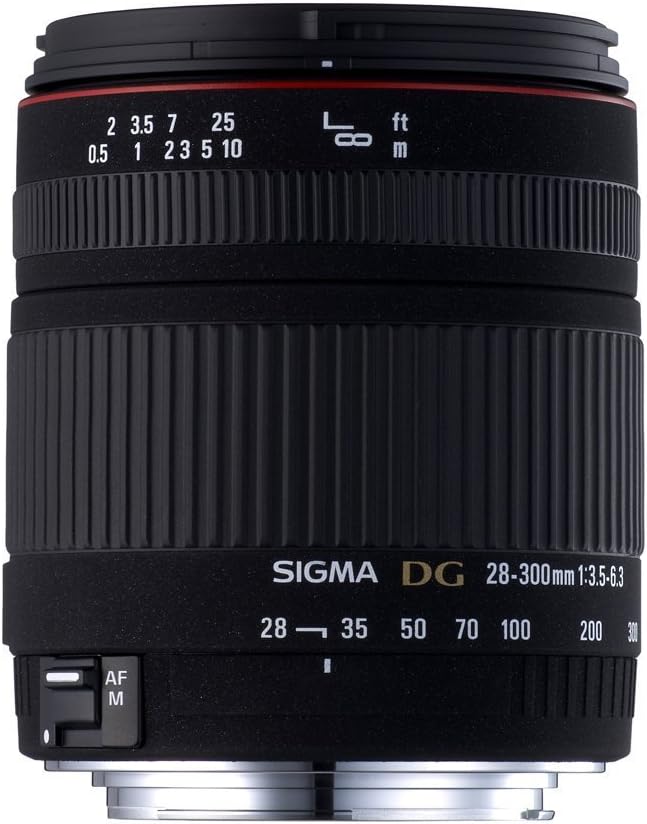 シグマ 28-300mm F3.5-6.3 DG MACRO キヤノン用