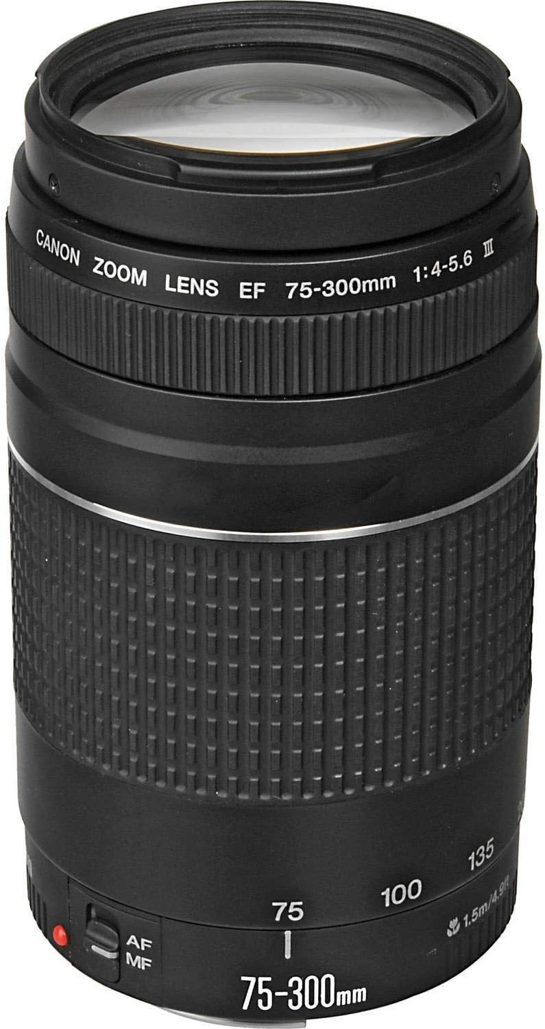 Canon EF 75 – 300 mm f / 4 – 5.6 III USM望遠ズームレンズfor Canon SLR Cameras (認定Refurbished )