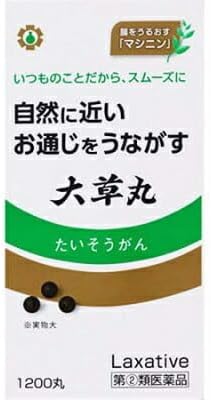 【指定第2類医薬品】大草丸 1200丸 ×2