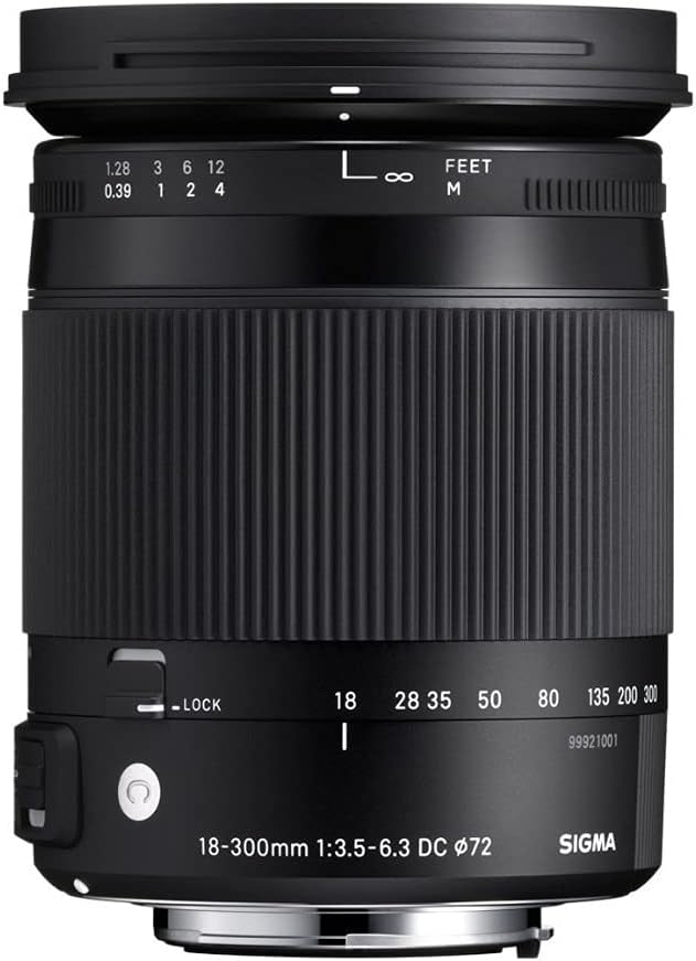Sigma 18-300mm F3.5-6.3 DC MACRO OS HSM