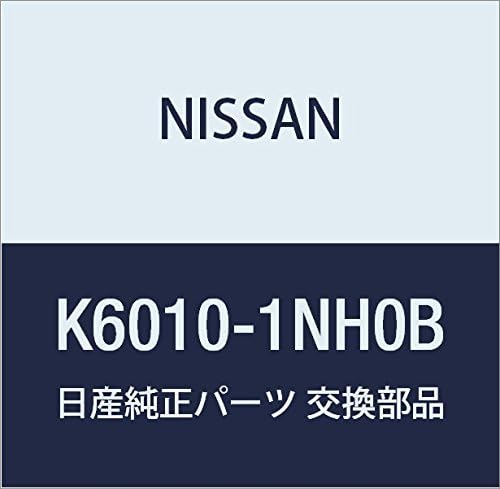 NISSAN Genuine Parts Front Spoiler Skyline Part Number K6010-1NH0B