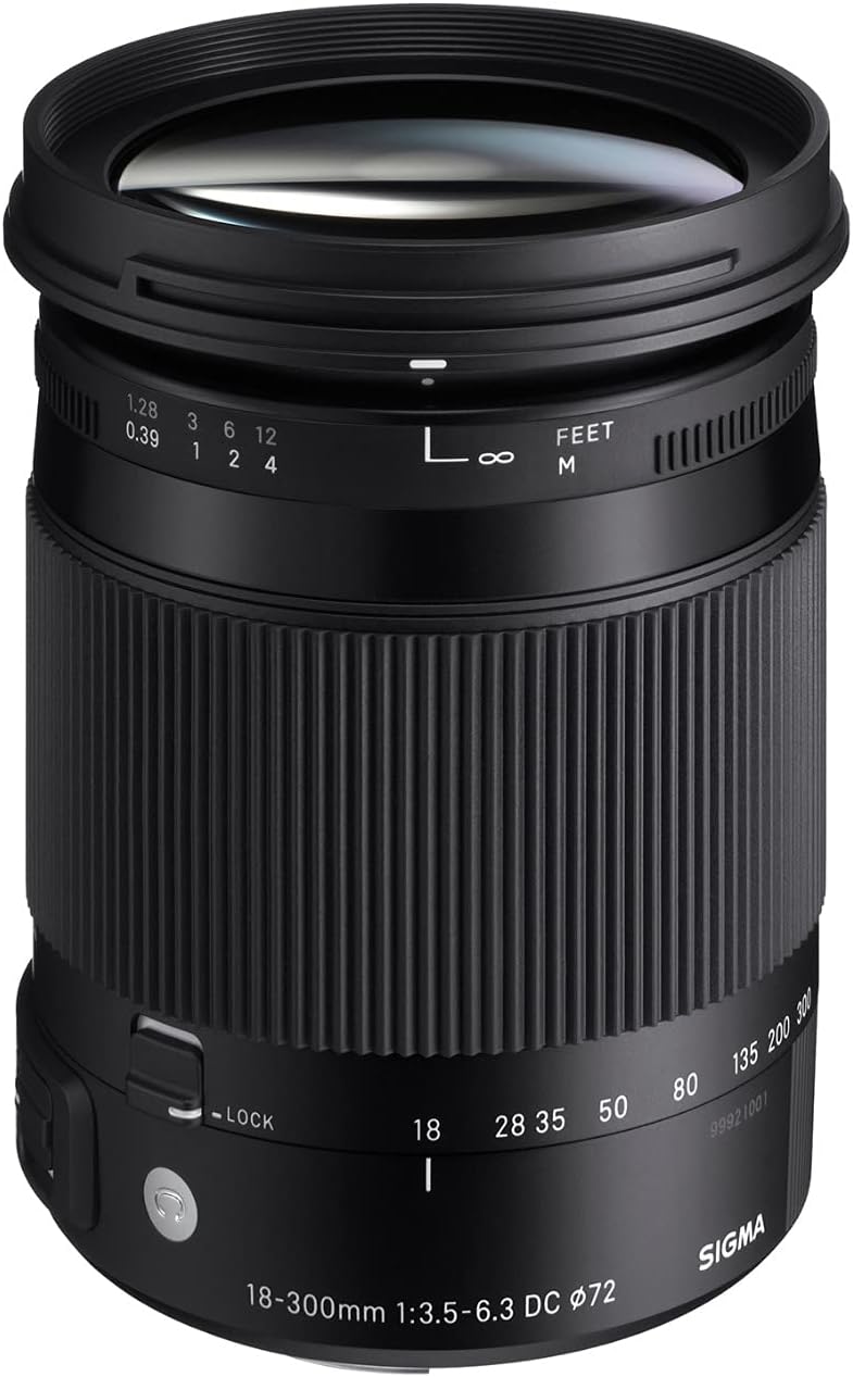 Sigma 18-300mm F3.5-6.3 DC MACRO OS HSM