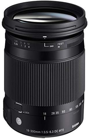 Sigma 18-300mm F3.5-6.3 DC Macro OS HSM (C) for Nikon (DX) Cameras - International Version (No Warranty)