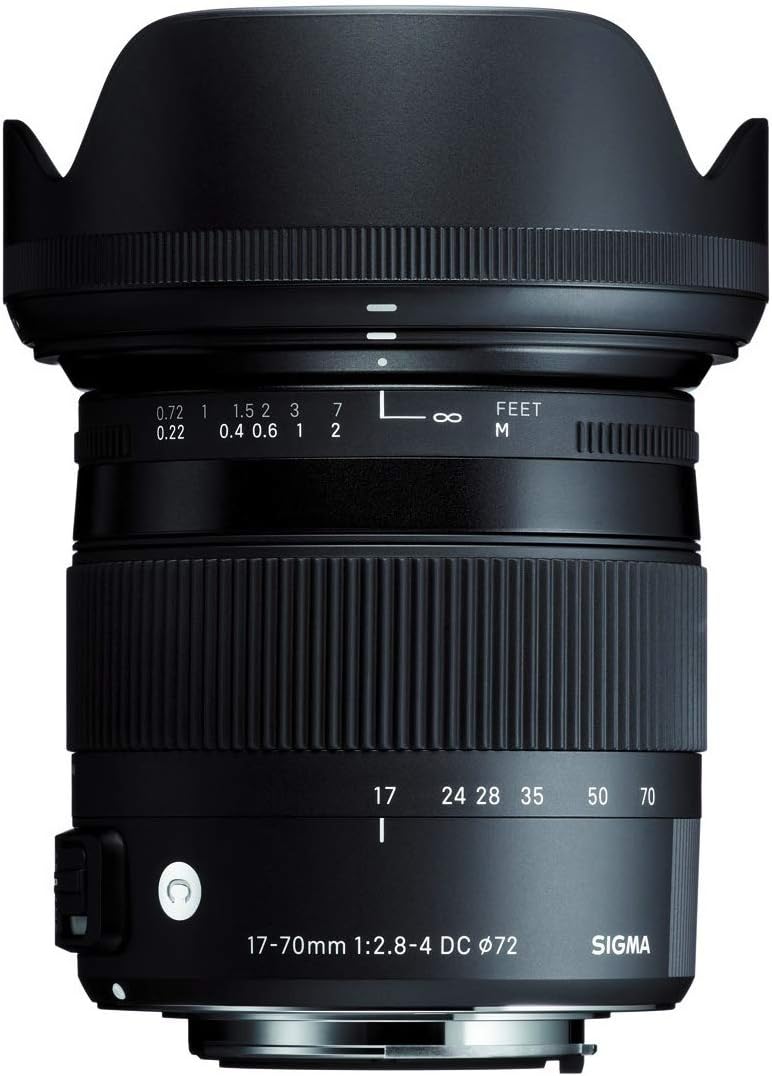 Sigma 17-70mm F2.8-4 DC Macro OS HSM