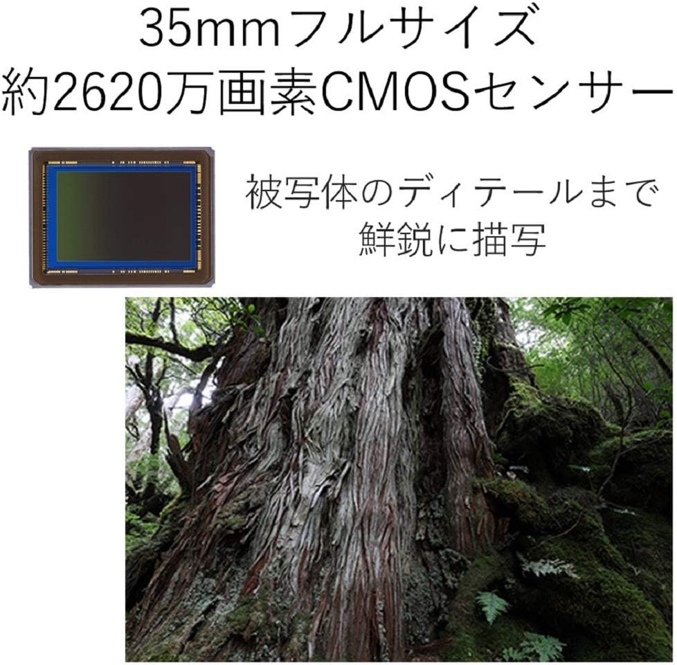 CANON EOS 6D Mark II