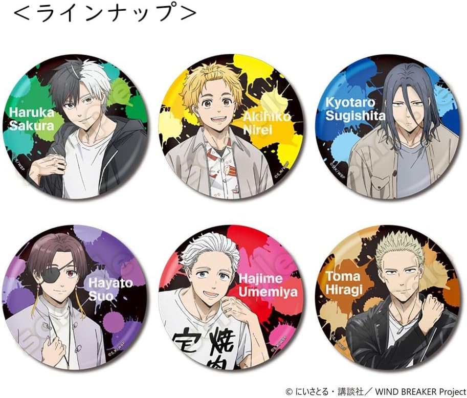 Hagoromo "WIND BREAKER" Can Mirror No. 83021 Haruka Sakura