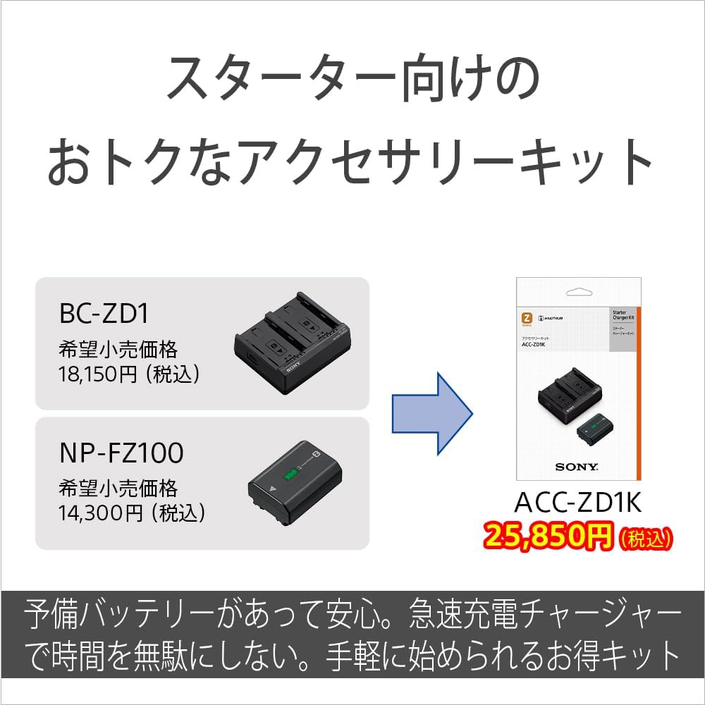Sony ACC-ZD1K Accessory Kit (BC-ZD1+NP-FZ100)