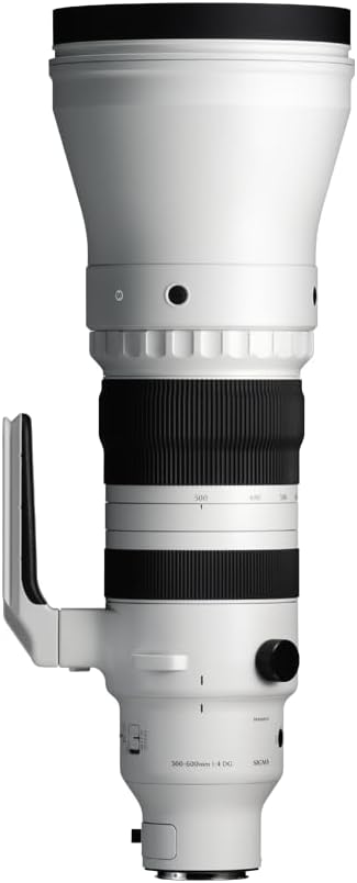 Sigma 300-600mm f/4 DG OS スポーツレンズ Lマウントミラーレスカメラ用