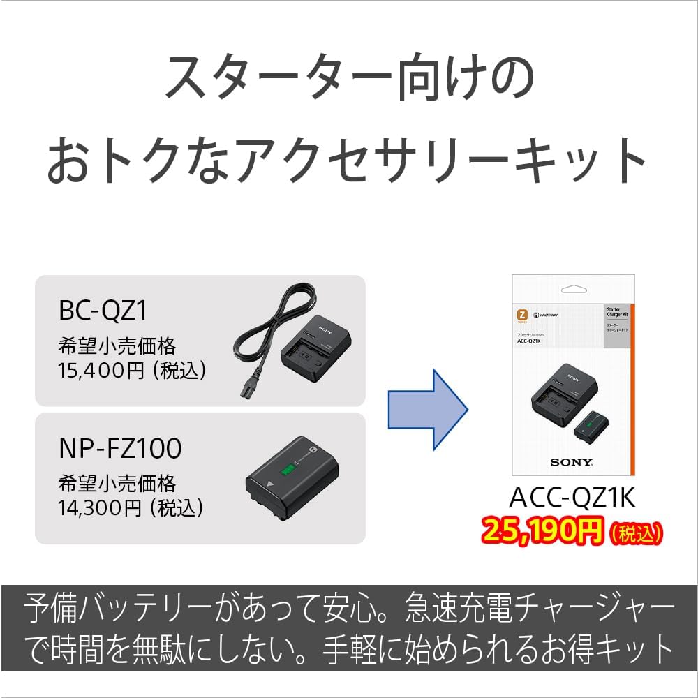 Sony ACC-QZ1K Accessory Kit (BC-QZ1+NP-FZ100)