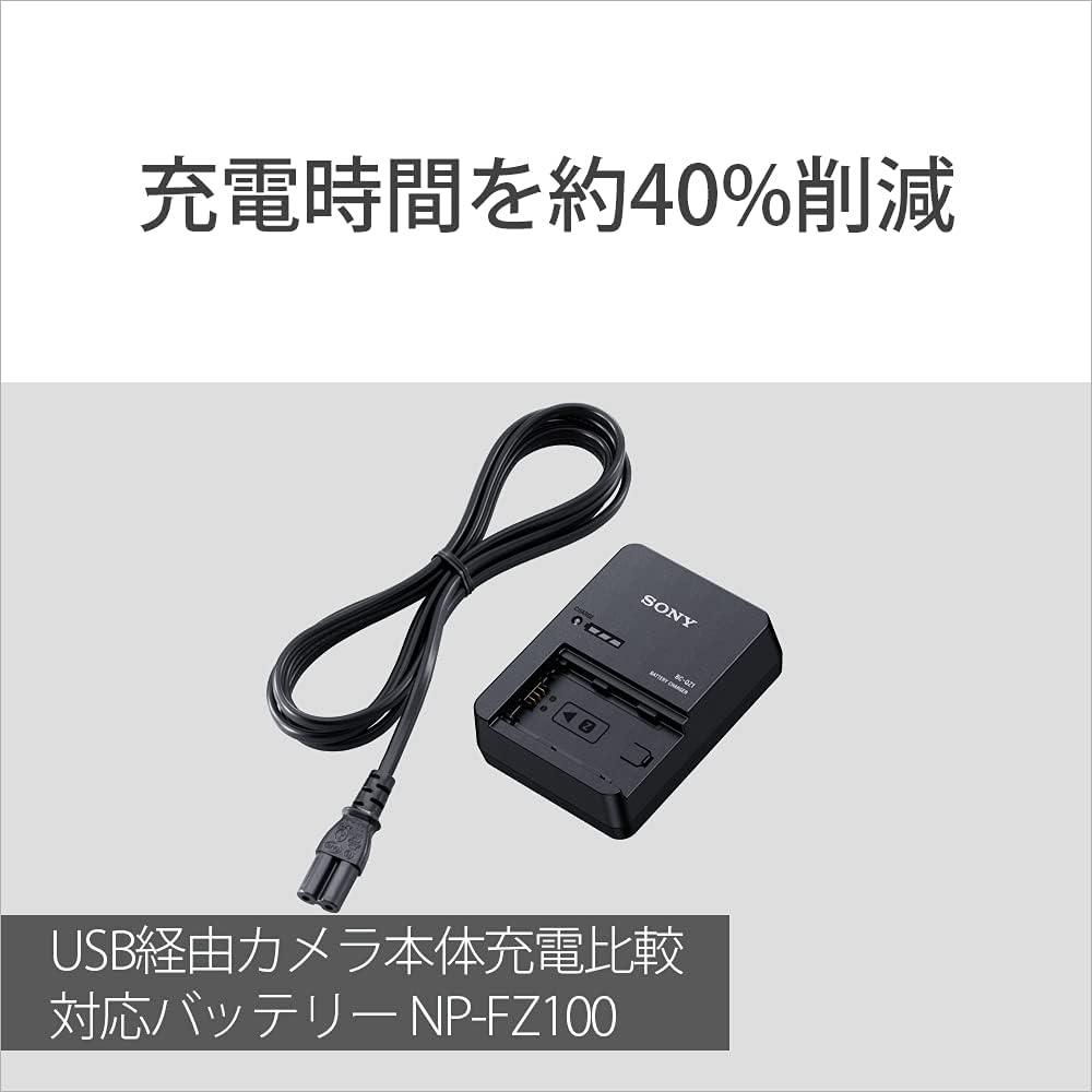 Sony BC-QZ1 Battery Charger