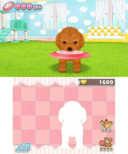 かわいいペットとくらそう! わんニャン&ミニミニアニマル - 3DS