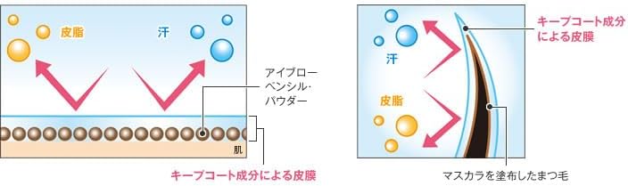 dhc eyebrow & mascara coat