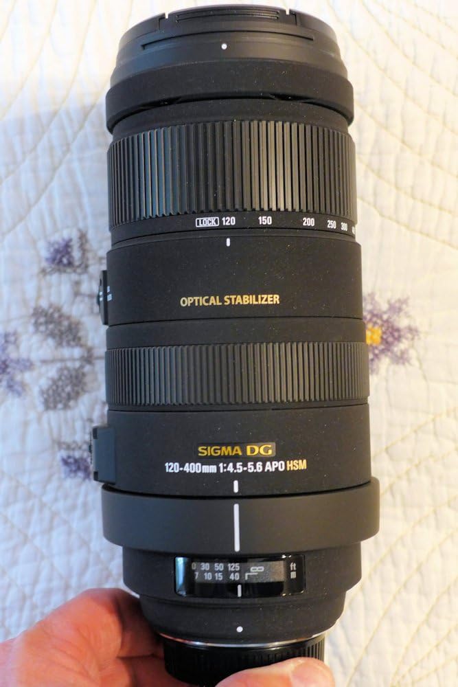 SIGMA 望遠ズームレンズ APO 120-400mm F4.5-5.6 DG OS HSM ニコン用 フルサイズ対応