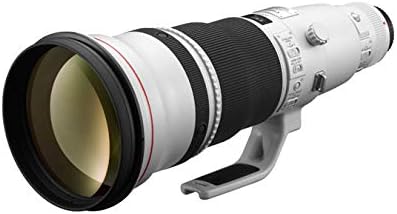Canon EF600mm F4L IS II USM Single Focus Super Telephoto Lens Full Size