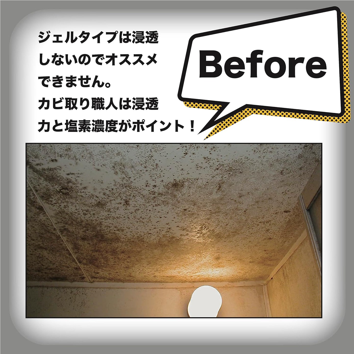 Makoto Sesame technique craftsmanship mold remover craftsman 500ml