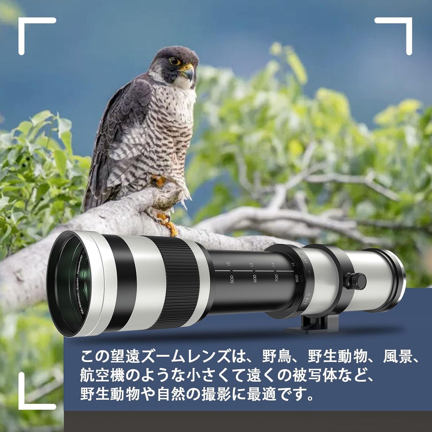 Lightdow 420-800mm f/8.3-16 Telephoto Zoom Lens for SLR Manual Telephoto Zoom Lens for Canon EF (Compatible with Canon EF-White)