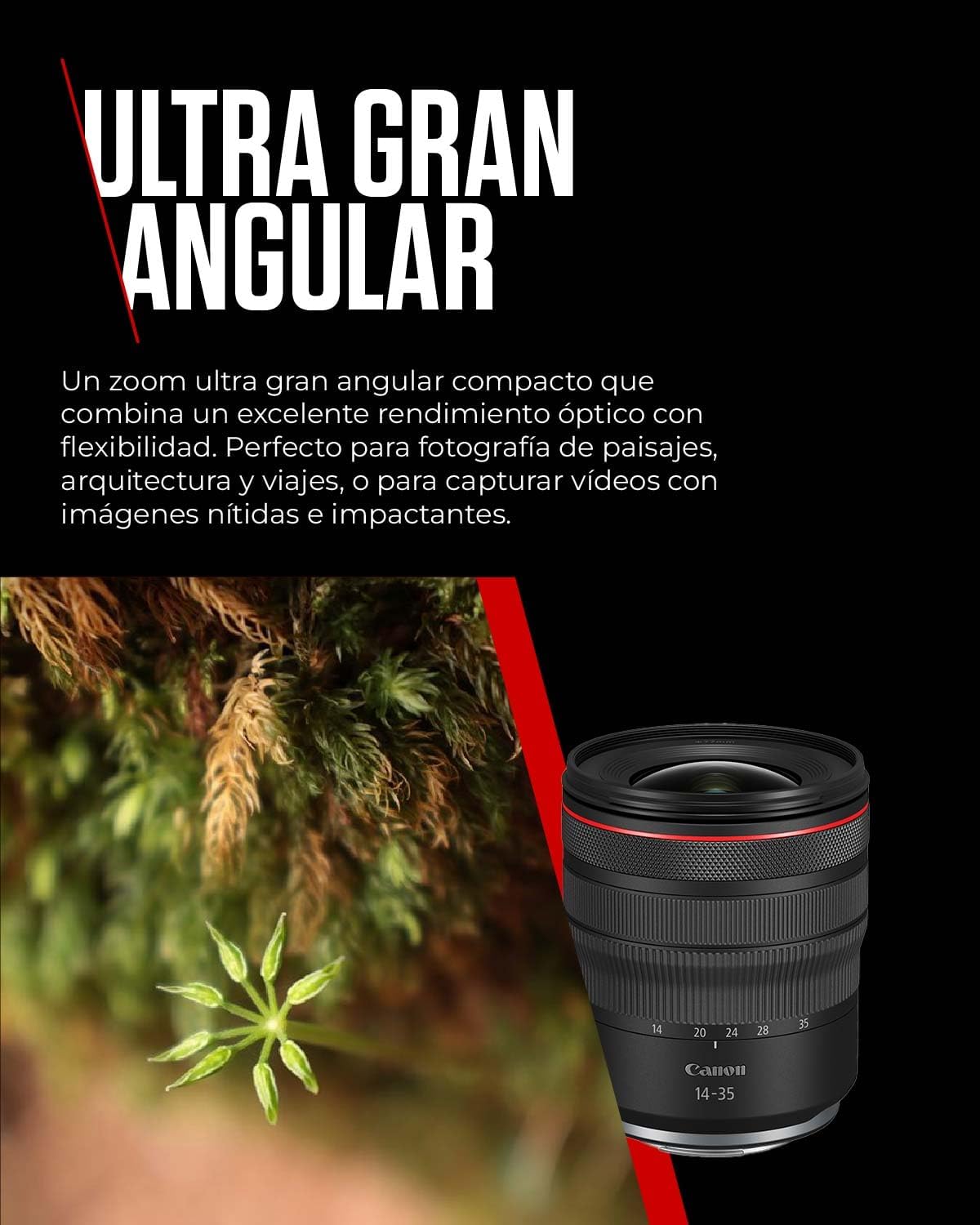 Canon RF14-35mm F4 L IS USM Wide Angle Zoom Lens for Canon