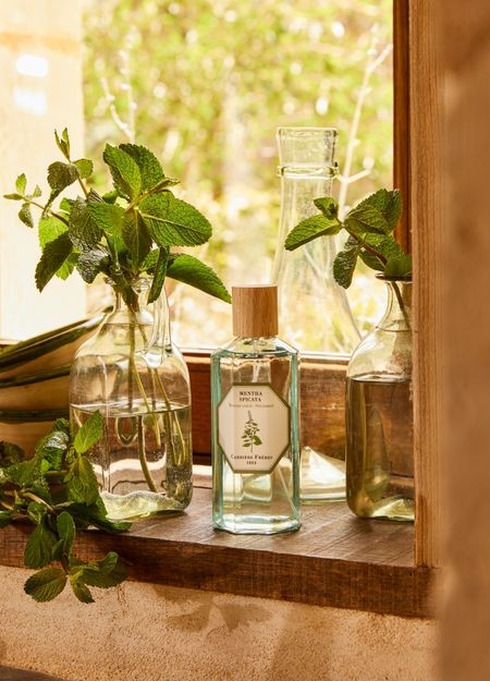 CARRIERE FRERES スペアミント ルームスプレー - Mentha Spicata 200 ml - Image 3