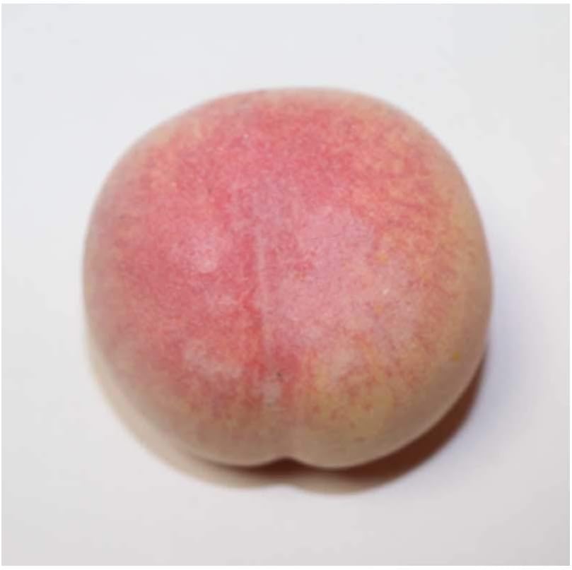 Peach Lifelike Model Set of 3 Food Sample Fruit Model (UP)