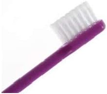 Toothbrush Artisan Shigekichi Tanabe Easy to Polish Toothbrush Back Teeth Flat Bristle Type LT-11 (Set of 4)