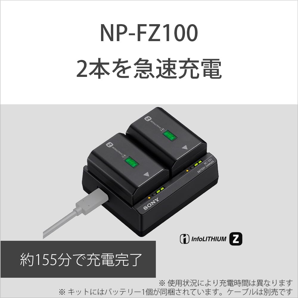 Sony ACC-ZD1K Accessory Kit (BC-ZD1+NP-FZ100)