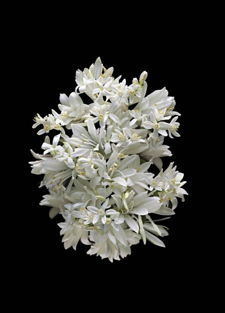 KILIAN PARIS グッドガール ゴーン バッド オードパルファム リフィル 100ml - Image 3