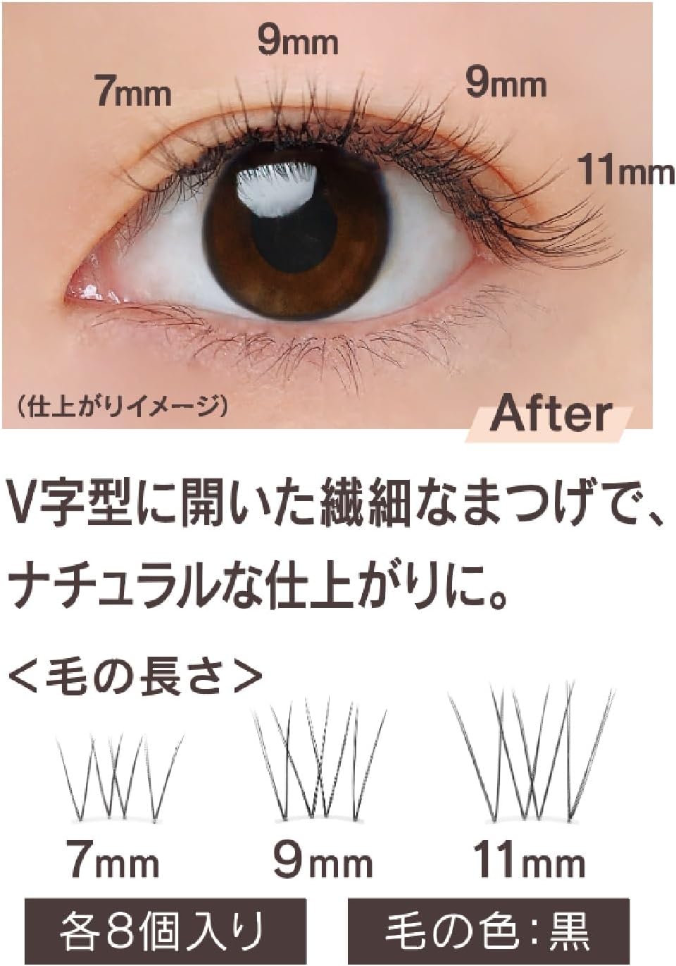 Cozy Honpo Matsue Crush No.2 Natural Type