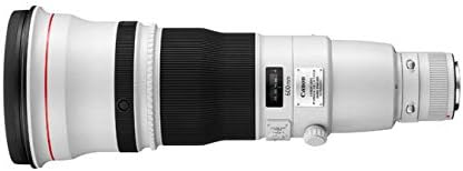 Canon EF600mm F4L IS II USM Single Focus Super Telephoto Lens Full Size