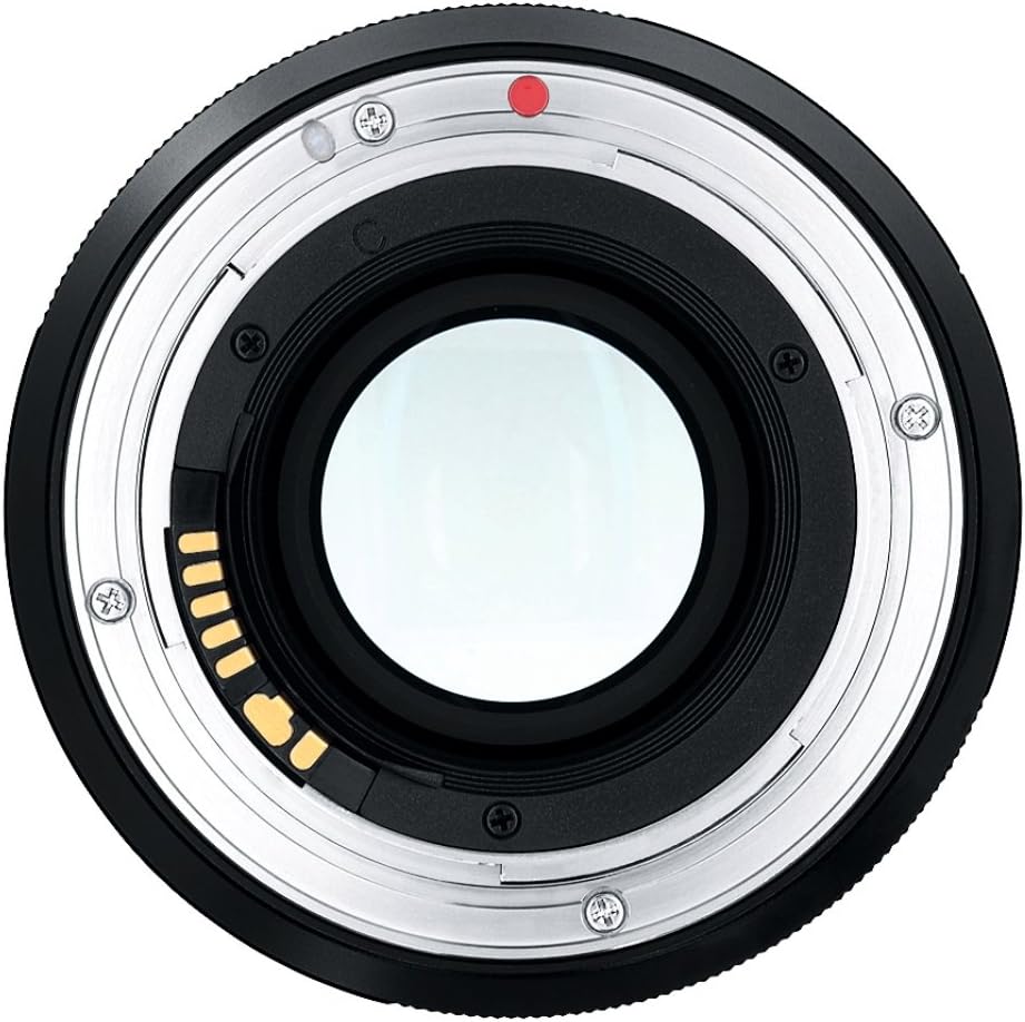 Carl Zeiss Makro-Planar T* 2/100 ZE (キャノンEF)