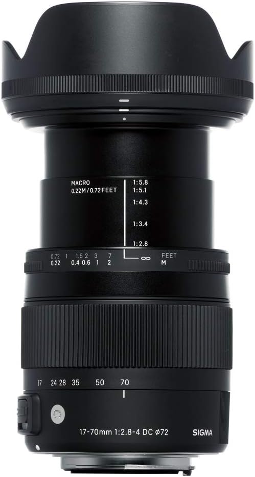 Sigma 17-70mm F2.8-4 DC Macro OS HSM