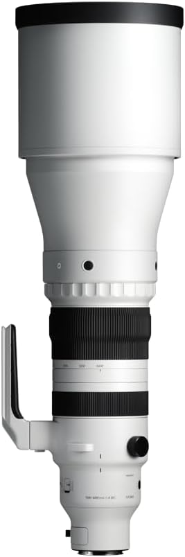 Sigma 300-600mm f/4 DG OS スポーツレンズ Lマウントミラーレスカメラ用