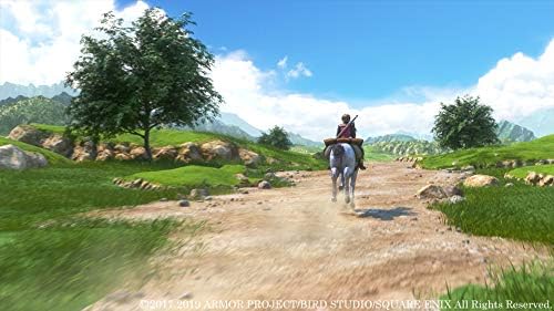 〔新価格版〕ドラゴンクエストXI 過ぎ去りし時を求めて S - Switch