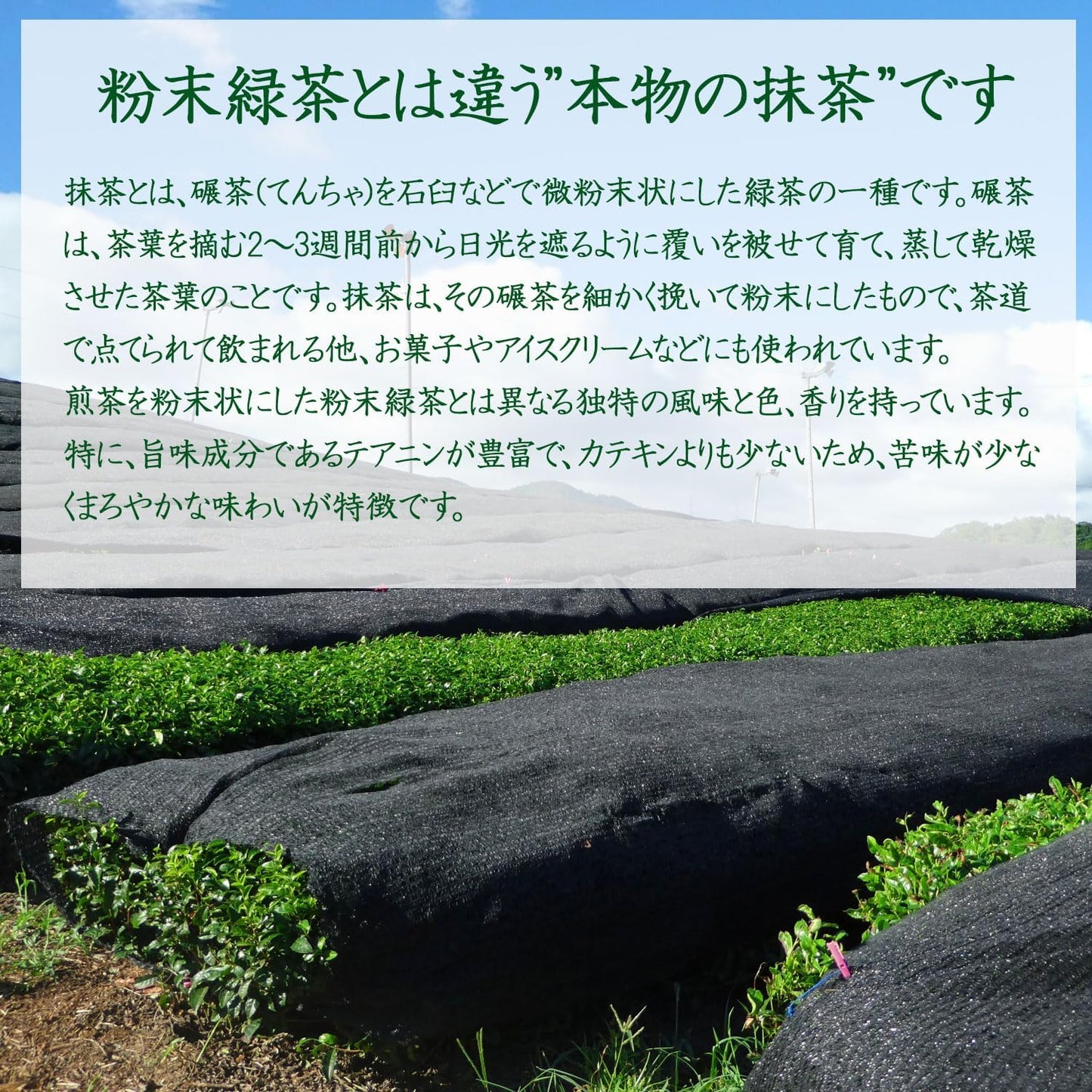 Organic Cultivation Uji Matcha, Organic Pesticide-free, Chemical Fertilizer, Made in Kyoto, Genuine Uji Matcha, Made with 100% Kyoto Prefecture Ichiban Tea, 1.1 oz (30 g) (3 Bags)