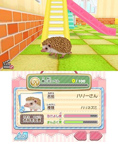 かわいいペットとくらそう! わんニャン&ミニミニアニマル - 3DS