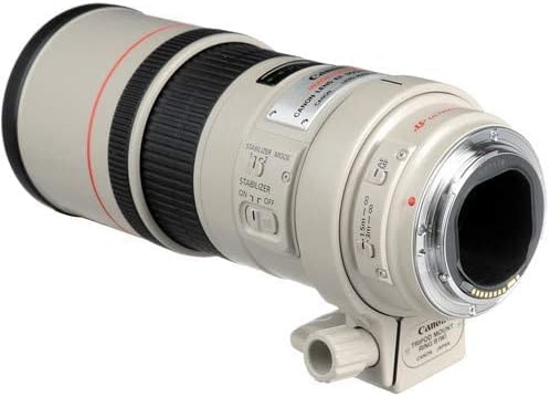 Canon EF 300mm f/4L IS USM SLR Telephoto lens White