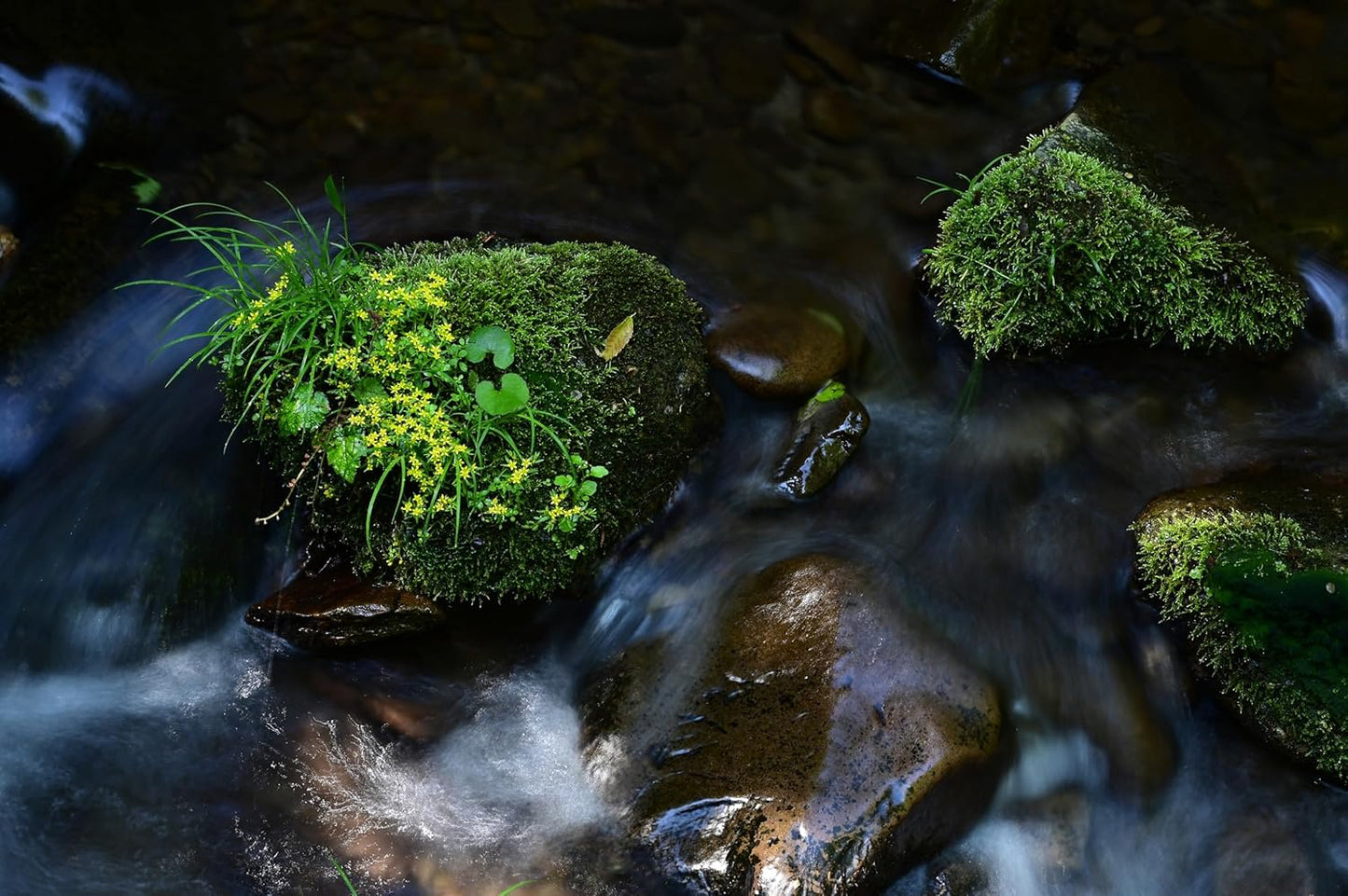 Tamron 70-300mm F/4.5-6.3 Di III RXD A047 Nikon Z