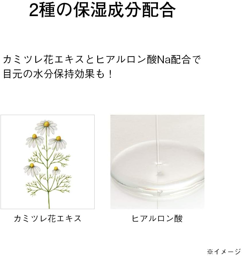 ORBIS Liquid Eyeliner Twilight Moon 1 Piece (x1)