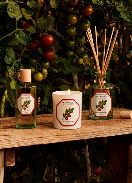 CARRIERE FRERES フレグランスディフューザー トマト - リコペルシコン エスカレンタム 200 ml - Image 4