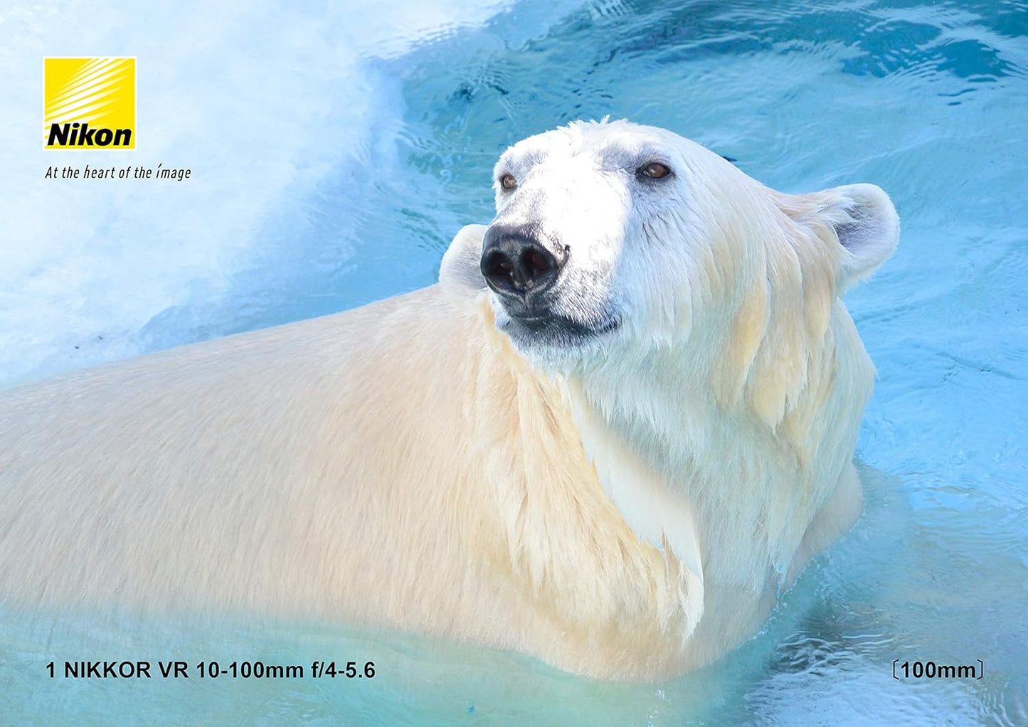 Nikon 高倍率ズームレンズ 1 NIKKOR VR 10-100mm f/4-5.6 ホワイト ニコンCXフォーマット専用