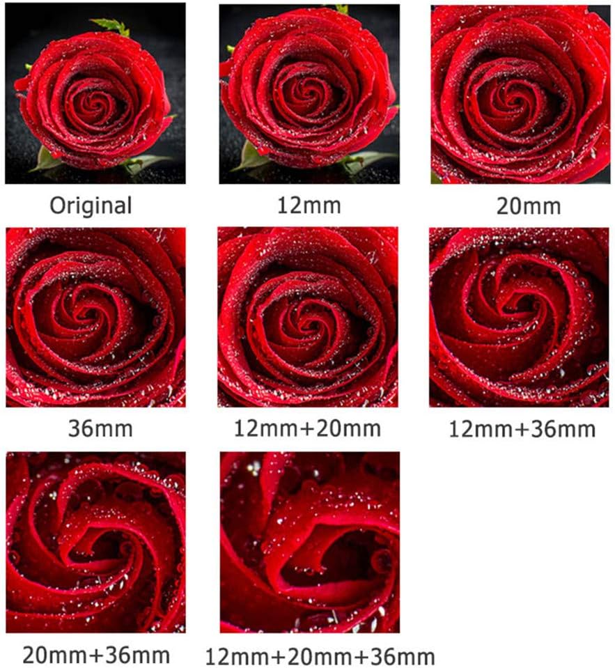 JJC Close-up Ring Digital Closeup Ring Set for Canon EF/EF-S Mount for EOS 90D 80D 5D IV III II 6D II 5DS 5DR 1DX III II Kiss X10i X10 X9 X9i x8i X70 12mm+20mm+36mm Set with Body Cap and Rear Lens Cap