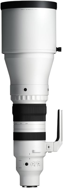 Sigma 300-600mm f/4 DG OS スポーツレンズ Lマウントミラーレスカメラ用