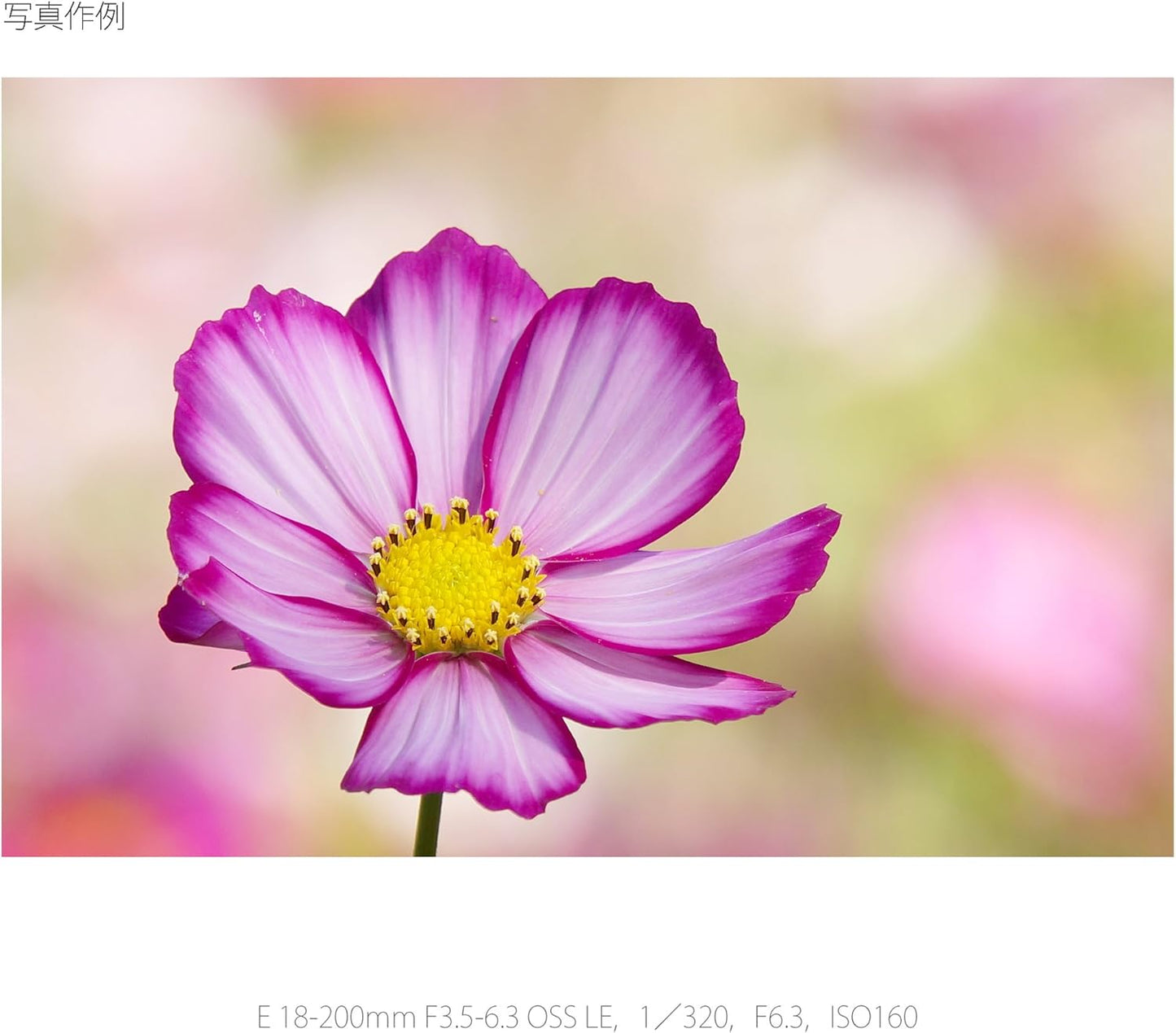 Sony SEL18200LE Camera Lense