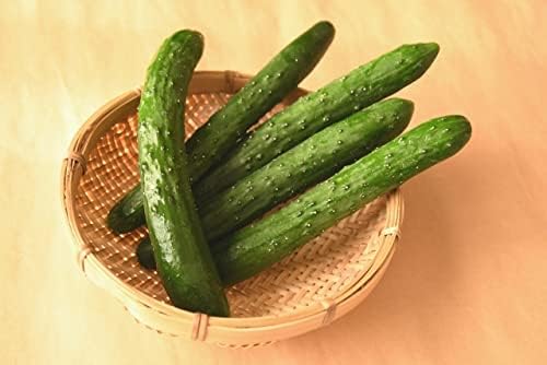 Pickles 【Commercial Use】Blue Cucumber Umami Ingredients 1kg x 1 Bag